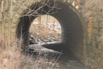 Odessa N.Y.  LV-overpass1